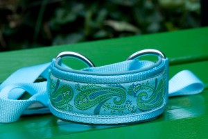 Slip Lead in Light Blue and Green Paisley
