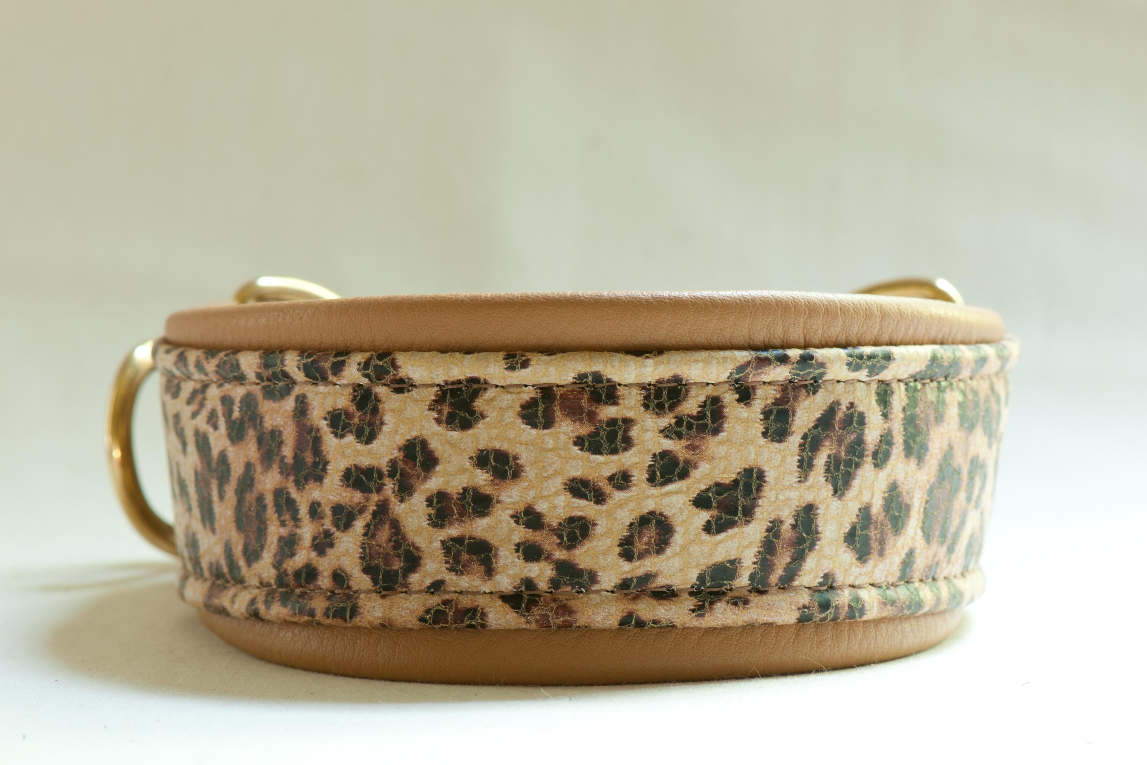 Leather Lurcher Vintage Leopard Collar Hamilton Hounds